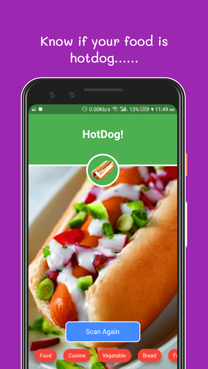 Not Hot Dog